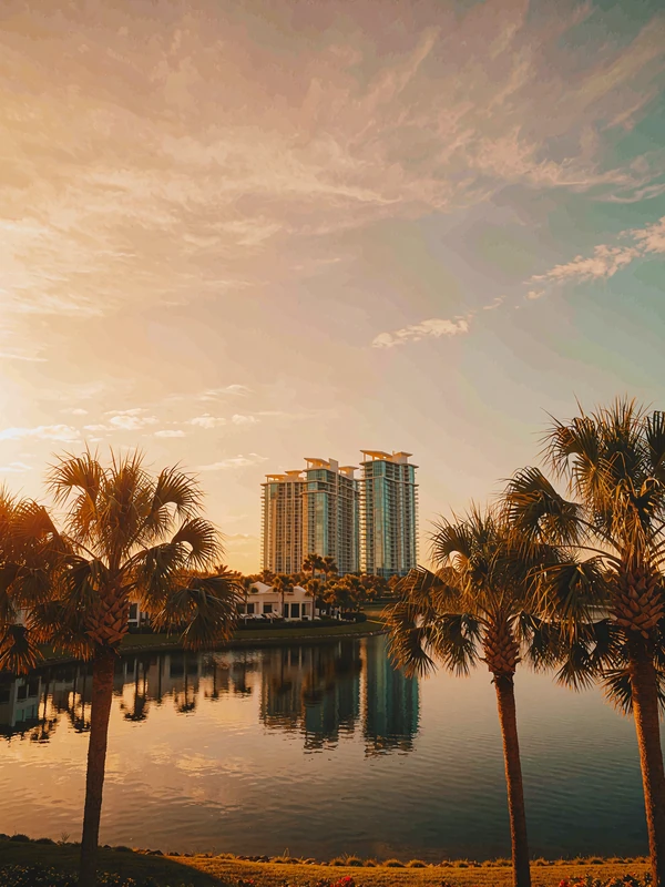 Orlando skyline reflected in a lake at sunset with palm trees in the foreground